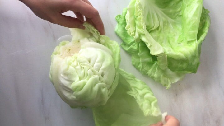 Holishkes – Stuffed Cabbage Rolls - Proportional Plate