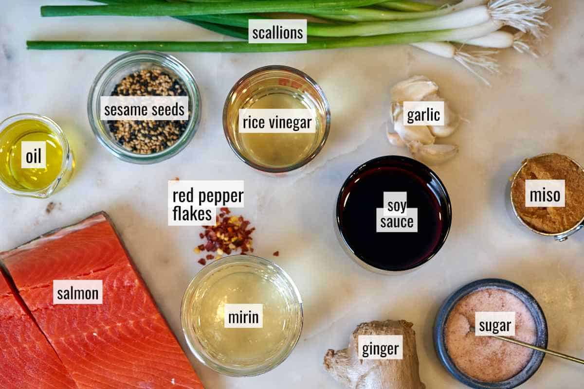 Ingredients to cook salmon on a coutnertop.
