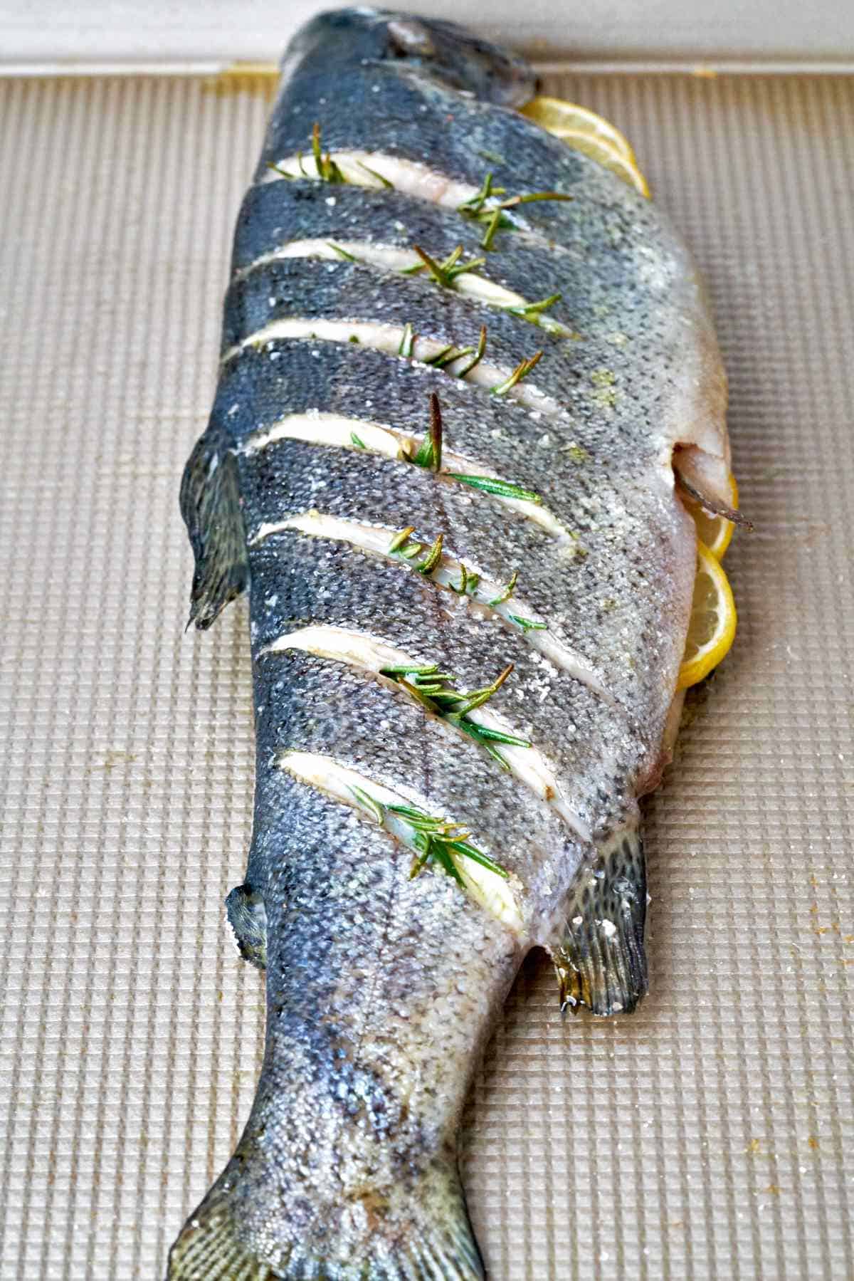 Cooked trout with rosemary in slits cut into it and lemon slices in the cavity.