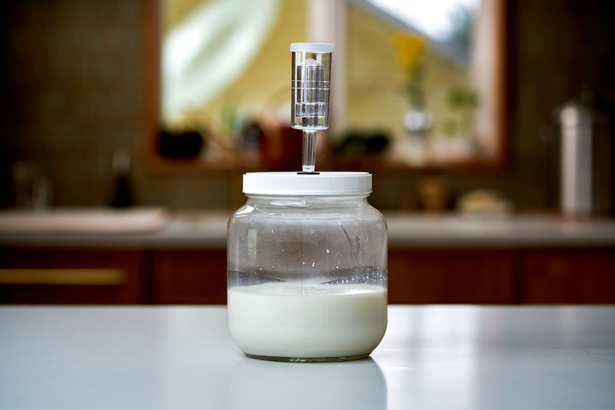 White liquid in a glass fermentation jar with air vent.