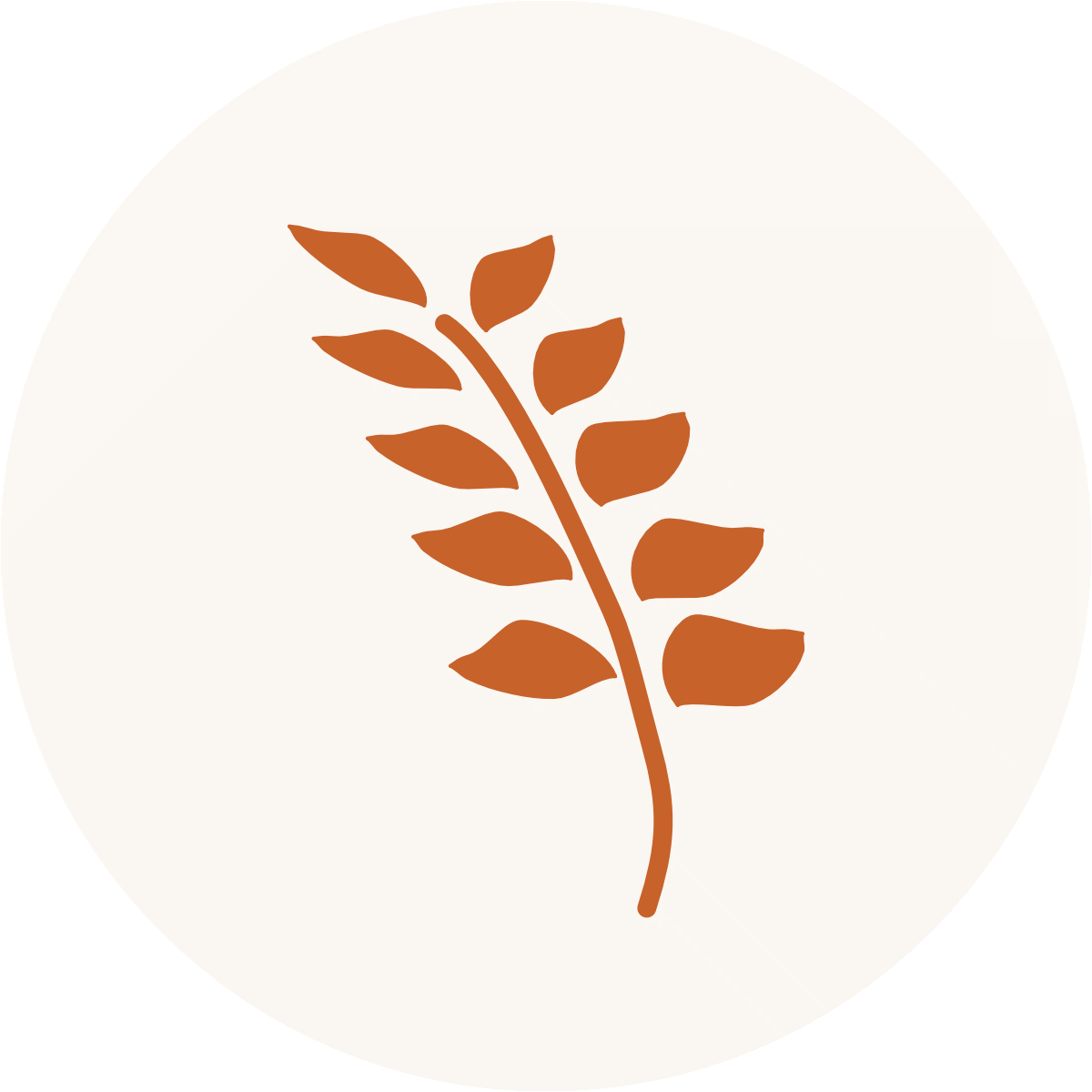 Clipart of and orange piece of wheat grain.