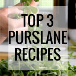 The Top 3 Purslane Recipes