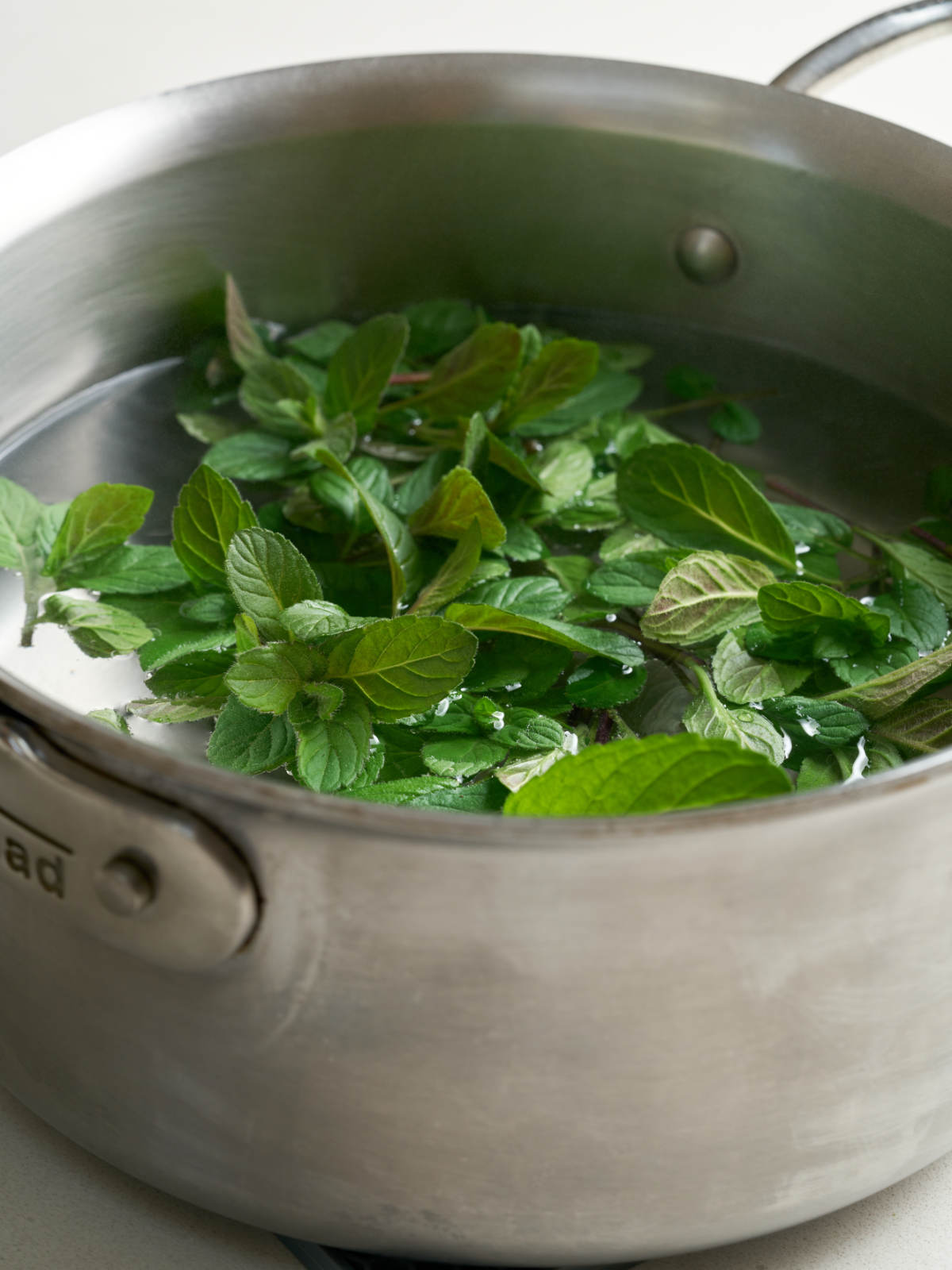 Mint leaves in water in a saucepan.
