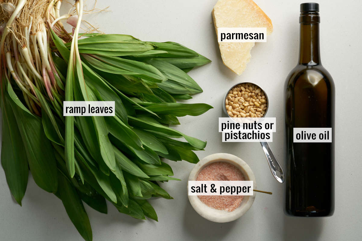 Ramps next to parmesan, pine nuts, a bowl of salt, and a bottle of olive oil.