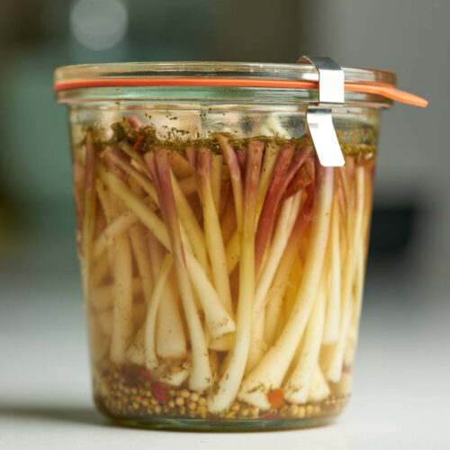 White ramp bulbs in a clear liquid in a sealed glass jar