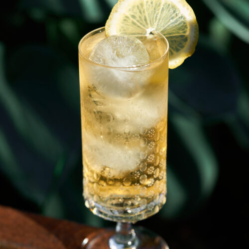 A fancy drink in a pedestal glass with a lemon slice garnish.