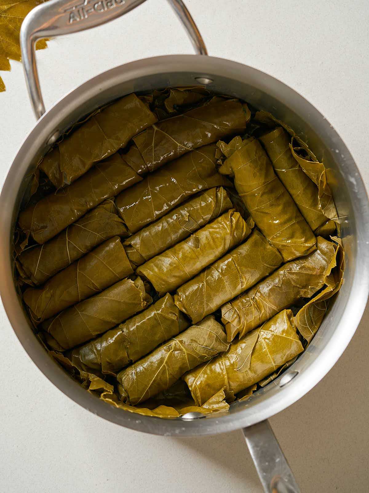 A dozen rolled grape leaf parcels in a large silver pot.