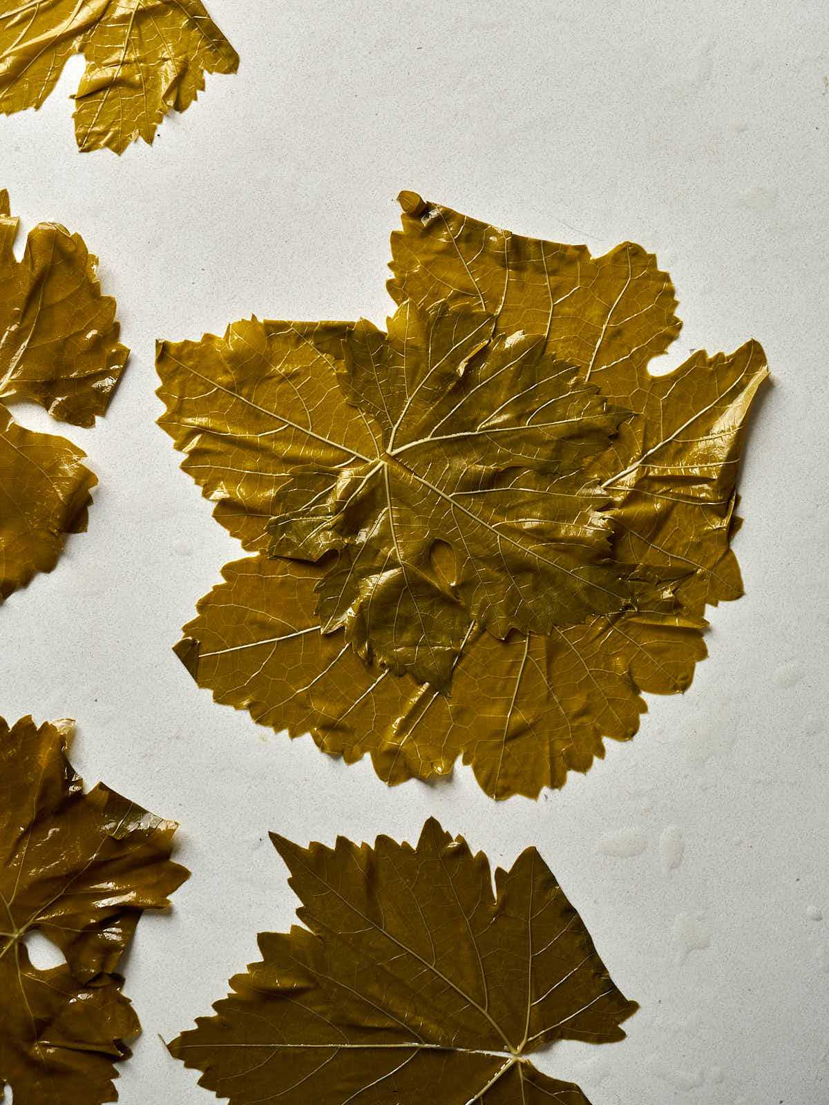 Large grape leaves flattened out on a countertop.