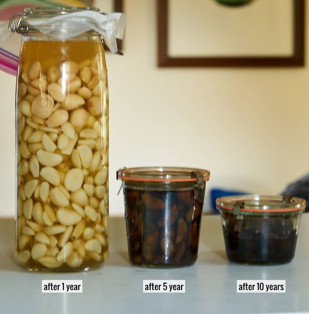 Jar with pickled garlic cloves next to older and older jars where the cloves are getting blacker and blacker.