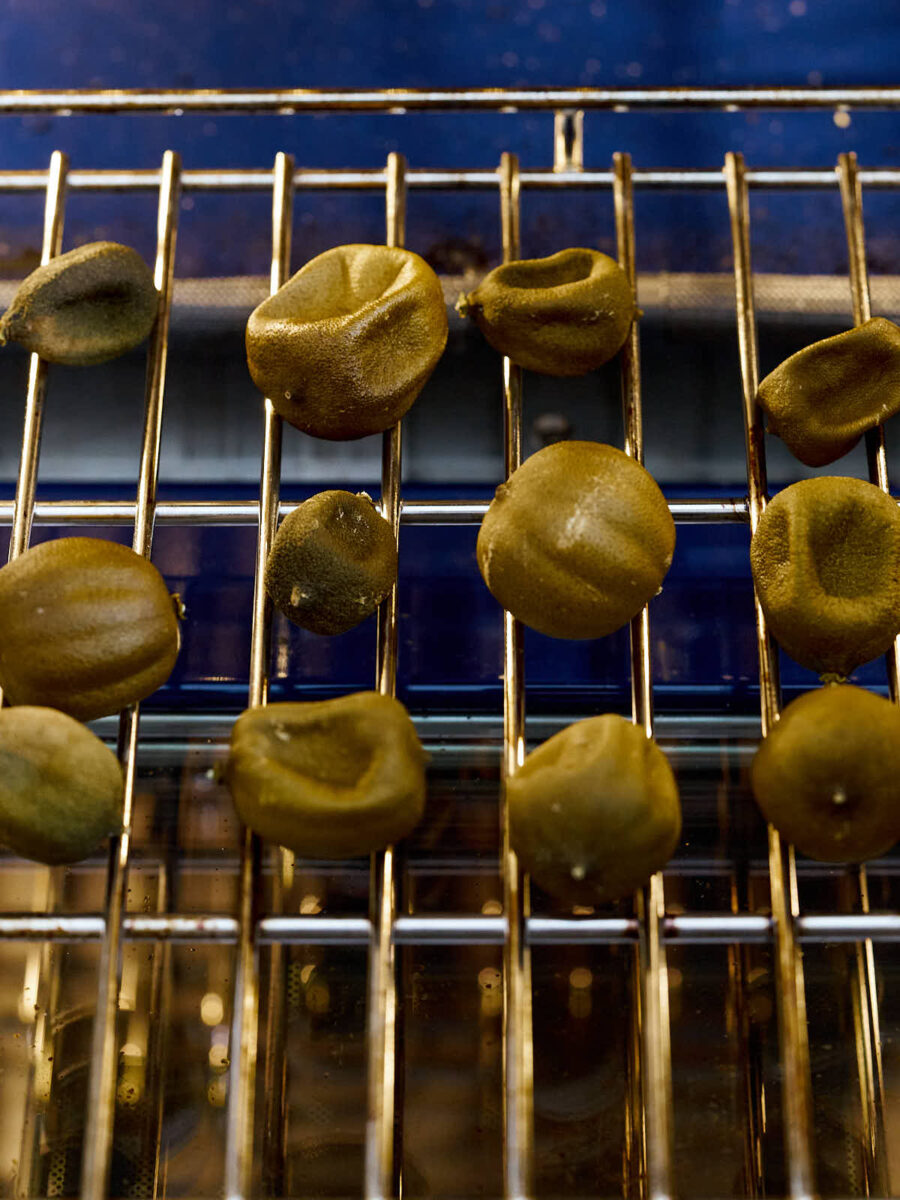 Dried limes in an oven on a rack.