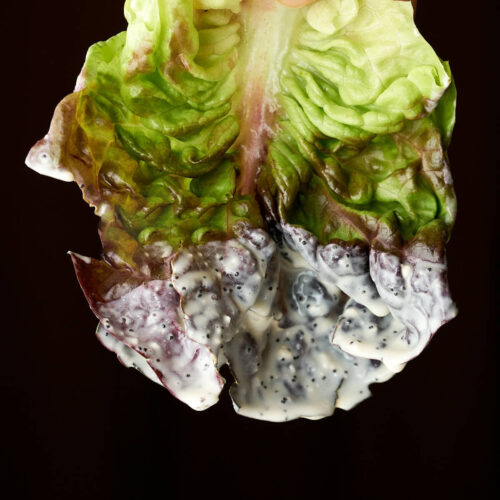 Poppyseed dressing dripping off a piece of red leaf lettuce.